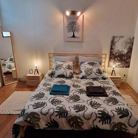 Appartement Dans Maison De Ville - 4 Personnes Oloron-Sainte-Marie Exteriér fotografie